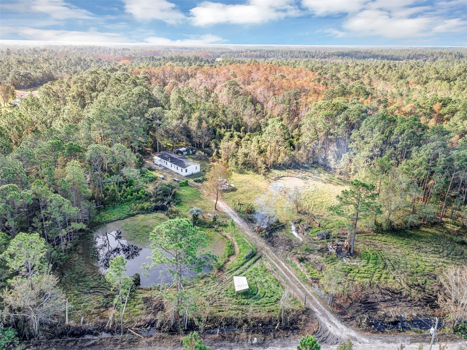 4536 TREEBROOK RD, NEW SMYRNA BEACH, FL, 32168