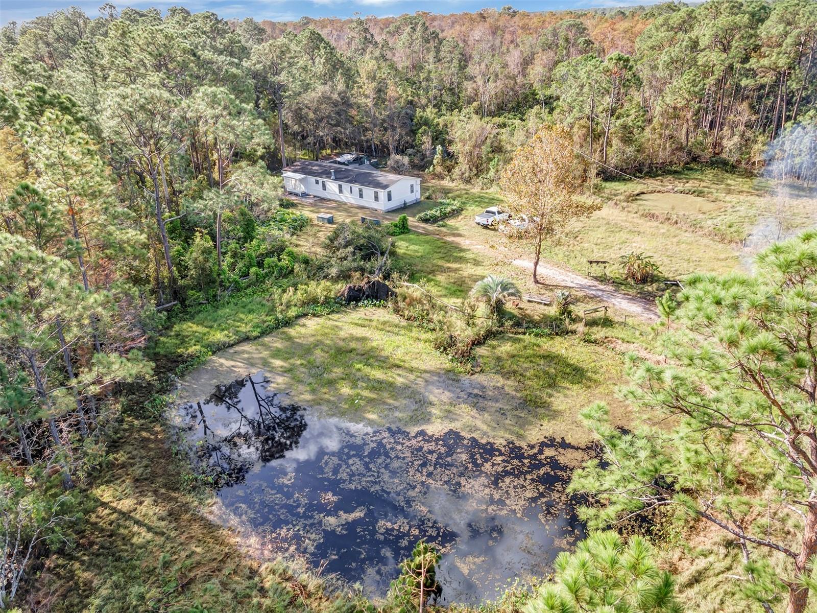 4536 TREEBROOK RD, NEW SMYRNA BEACH, FL, 32168
