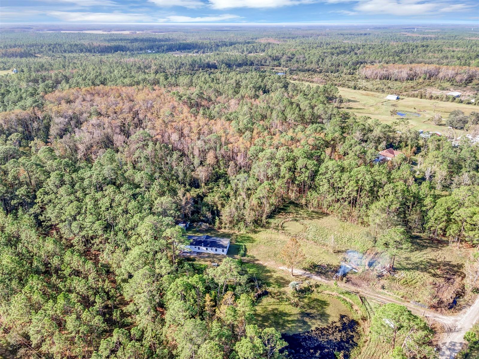 4536 TREEBROOK RD, NEW SMYRNA BEACH, FL, 32168