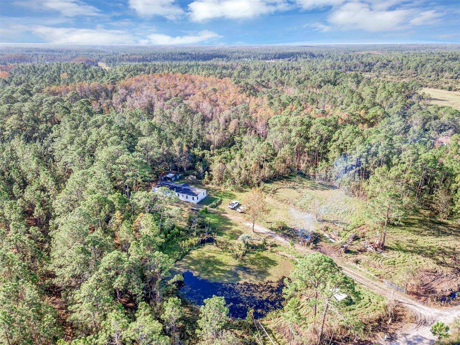 4536 TREEBROOK RD, NEW SMYRNA BEACH, FL, 32168
