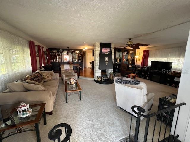 29250 US HIGHWAY 19 N #313, CLEARWATER, FL, 33761