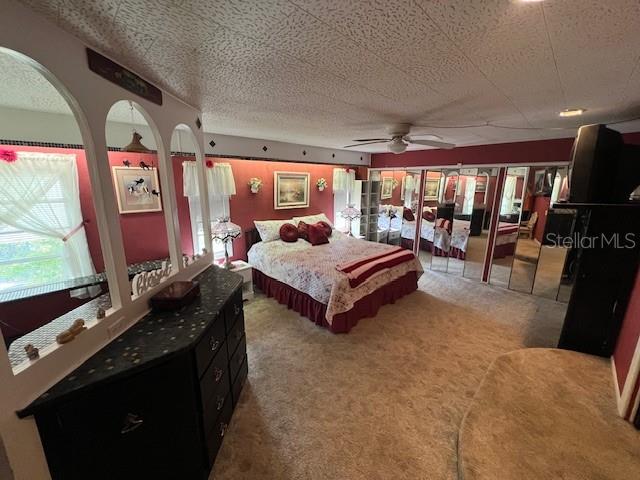 29250 US HIGHWAY 19 N #313, CLEARWATER, FL, 33761