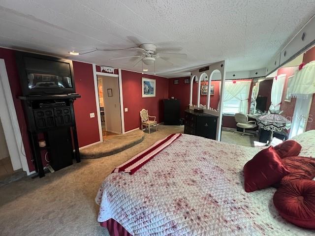 29250 US HIGHWAY 19 N #313, CLEARWATER, FL, 33761