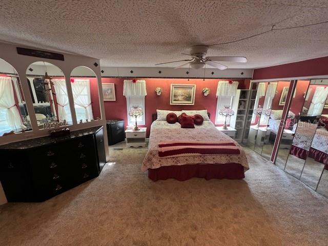 29250 US HIGHWAY 19 N #313, CLEARWATER, FL, 33761