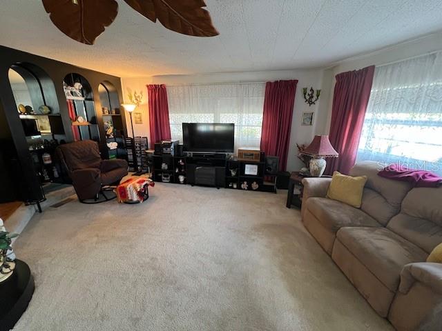 29250 US HIGHWAY 19 N #313, CLEARWATER, FL, 33761