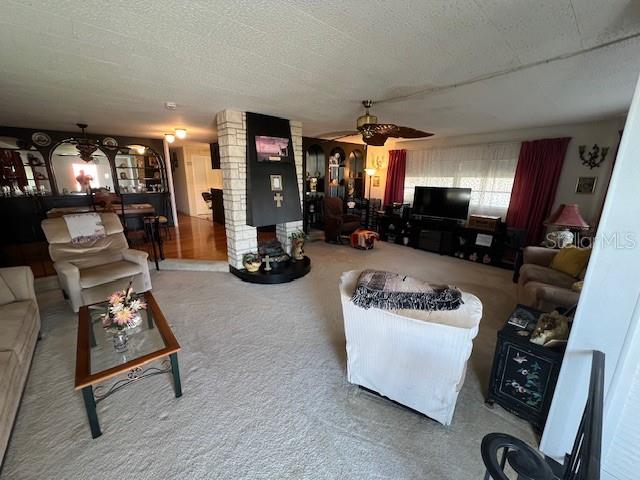 29250 US HIGHWAY 19 N #313, CLEARWATER, FL, 33761