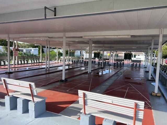 29250 US HIGHWAY 19 N #313, CLEARWATER, FL, 33761