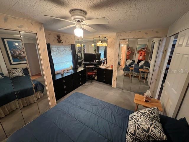 29250 US HIGHWAY 19 N #313, CLEARWATER, FL, 33761