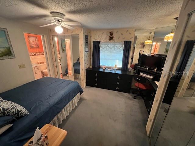 29250 US HIGHWAY 19 N #313, CLEARWATER, FL, 33761