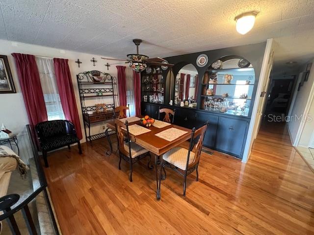 29250 US HIGHWAY 19 N #313, CLEARWATER, FL, 33761