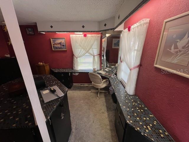29250 US HIGHWAY 19 N #313, CLEARWATER, FL, 33761