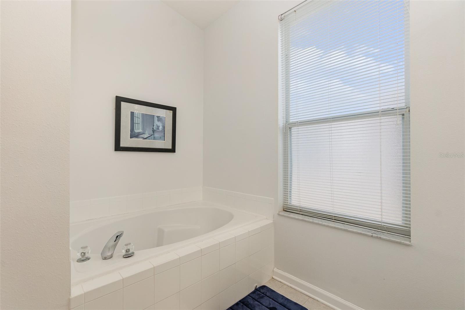 8169 FAN PALM WAY, KISSIMMEE, FL, 34747