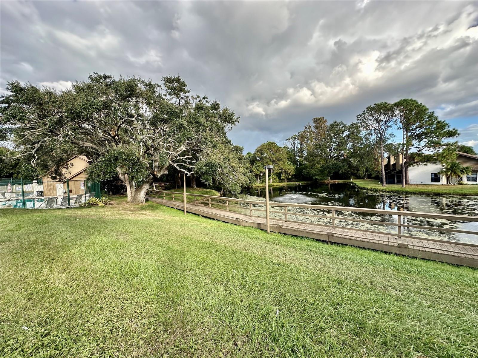 2004 WESTLEY CT, SAFETY HARBOR, FL, 34695