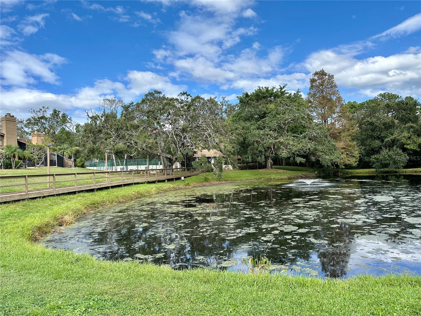 2004 WESTLEY CT, SAFETY HARBOR, FL, 34695