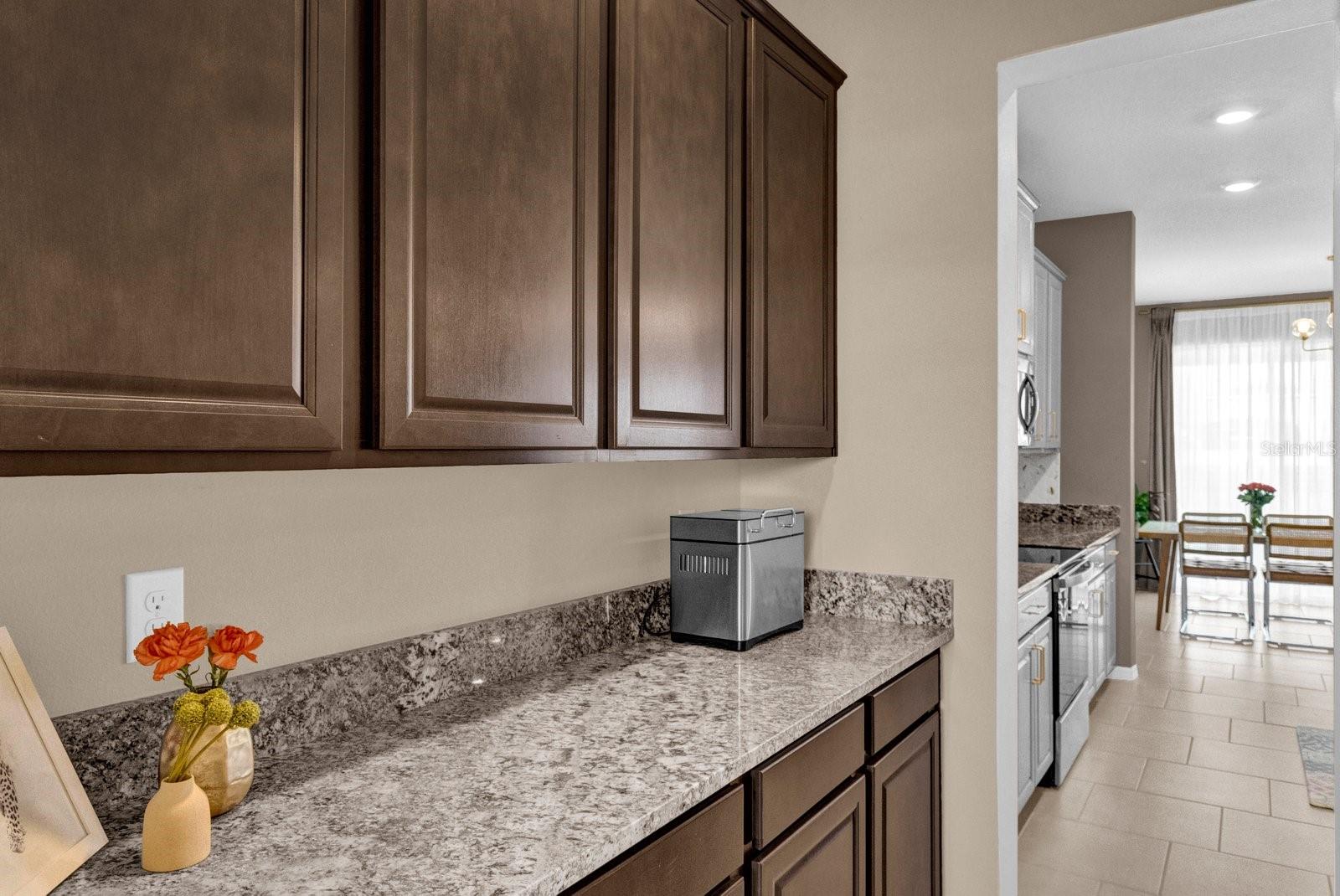 30684 PENNY SURF LOOP, WESLEY CHAPEL, FL, 33545