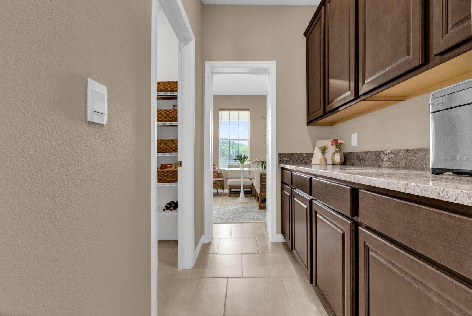30684 PENNY SURF LOOP, WESLEY CHAPEL, FL, 33545