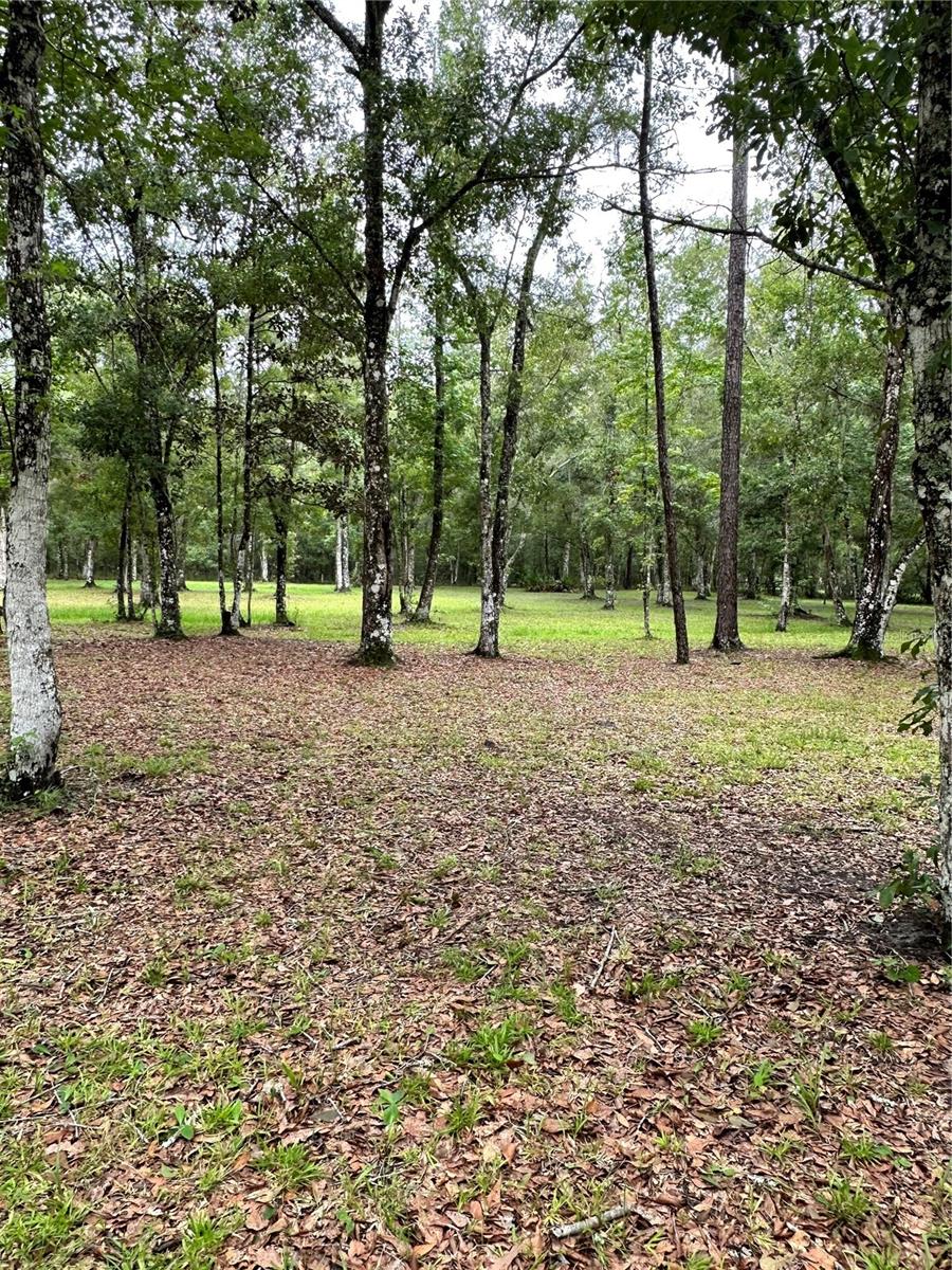 RACKLEY RD, BROOKSVILLE, FL, 34604