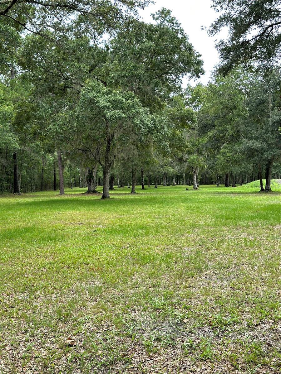 RACKLEY RD, BROOKSVILLE, FL, 34604