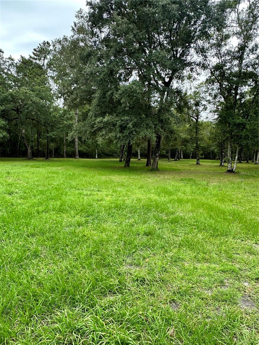 RACKLEY RD, BROOKSVILLE, FL, 34604