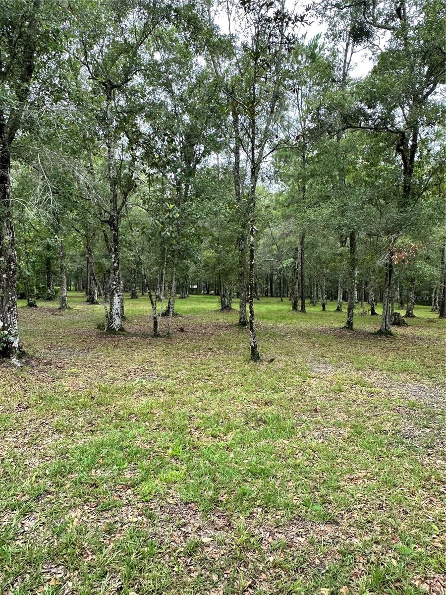 RACKLEY RD, BROOKSVILLE, FL, 34604