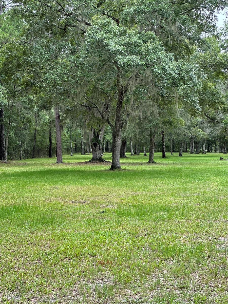 RACKLEY RD, BROOKSVILLE, FL, 34604