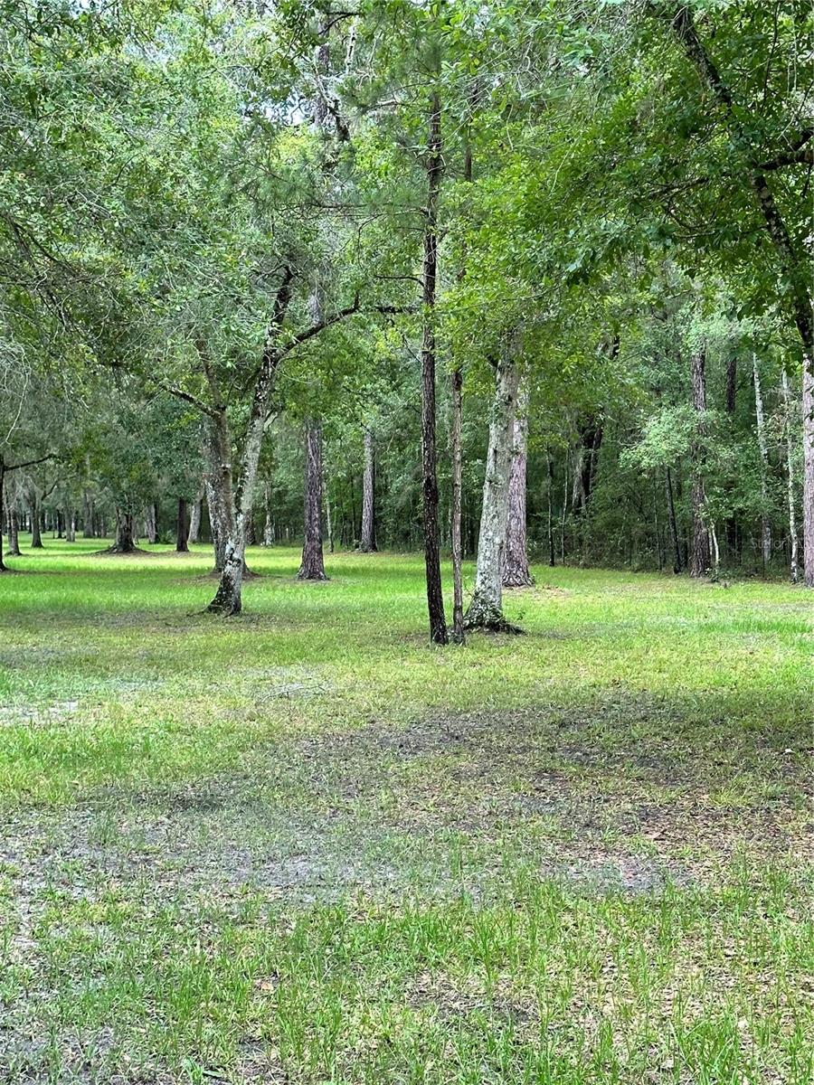RACKLEY RD, BROOKSVILLE, FL, 34604