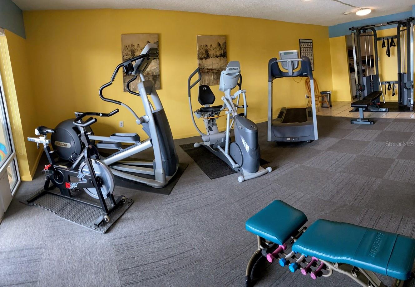 601 N MCDONALD ST #208, MOUNT DORA, FL, 32757