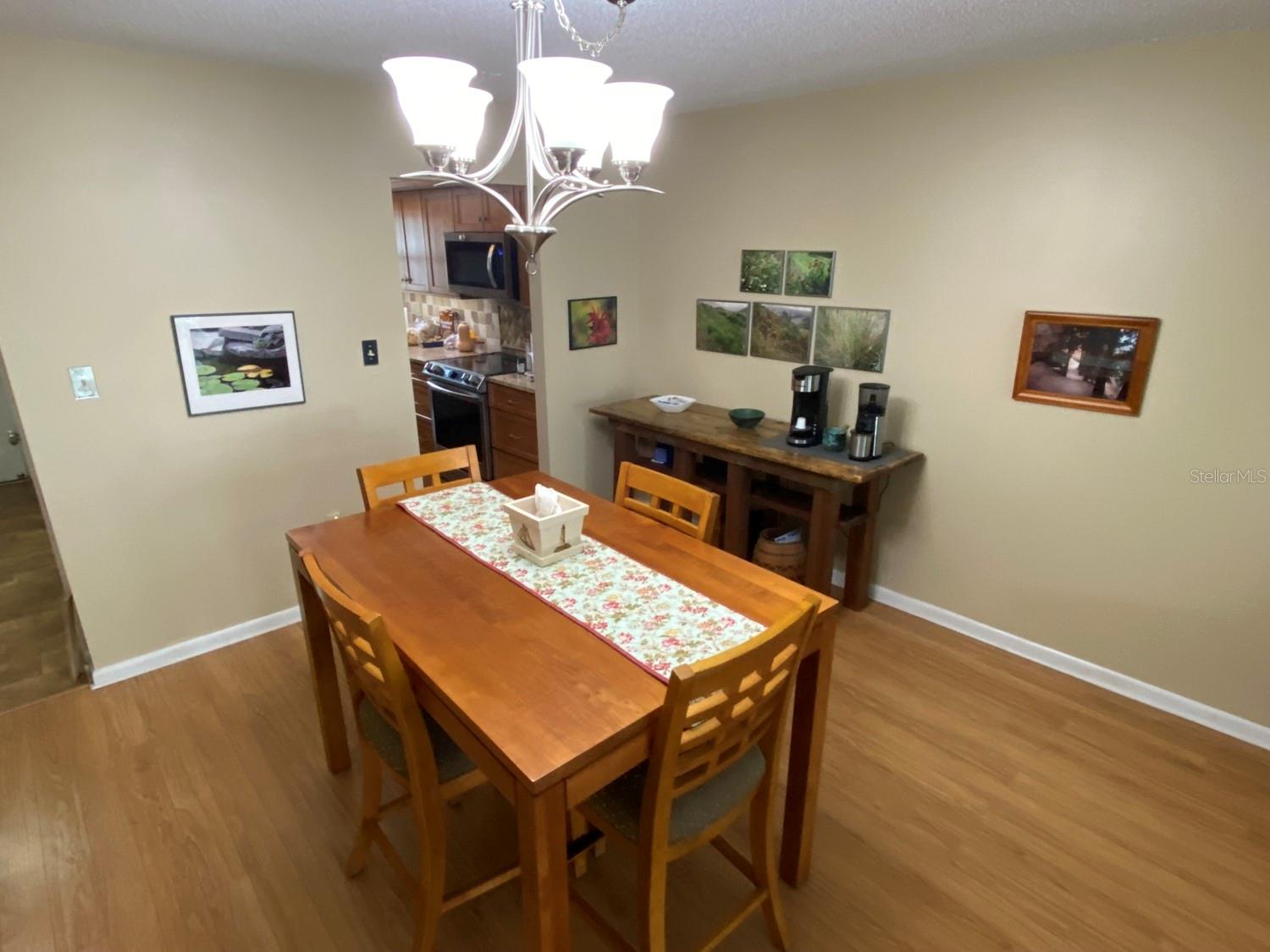 601 N MCDONALD ST #208, MOUNT DORA, FL, 32757