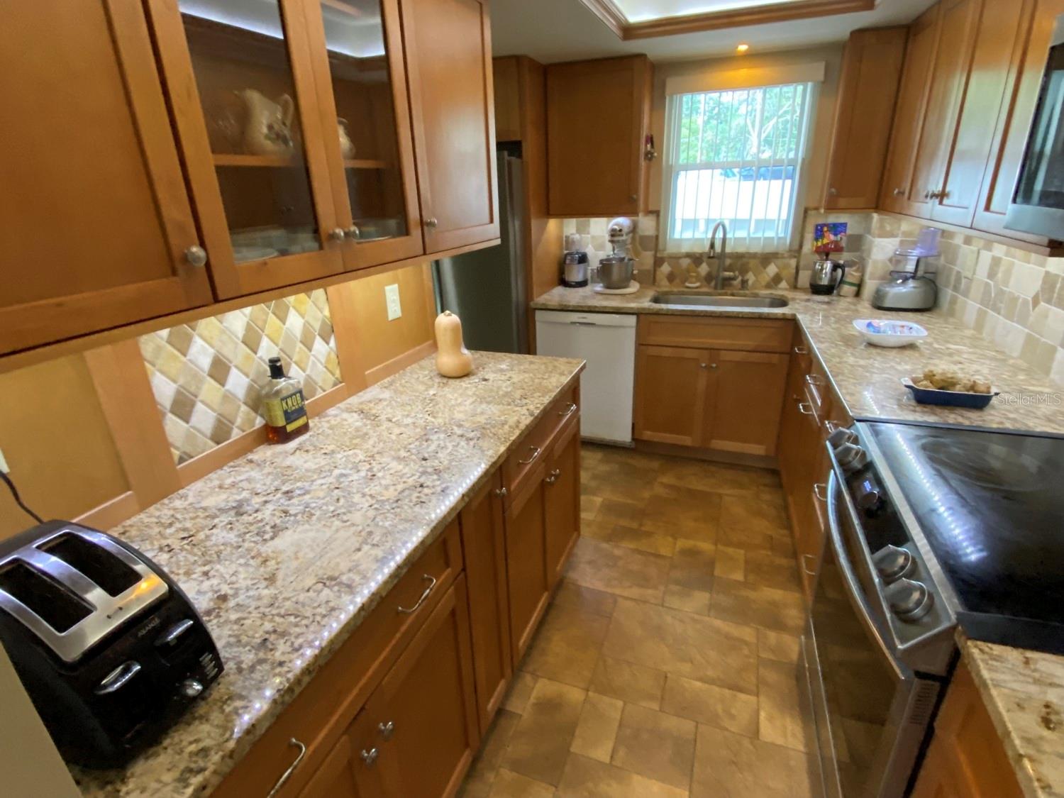 601 N MCDONALD ST #208, MOUNT DORA, FL, 32757