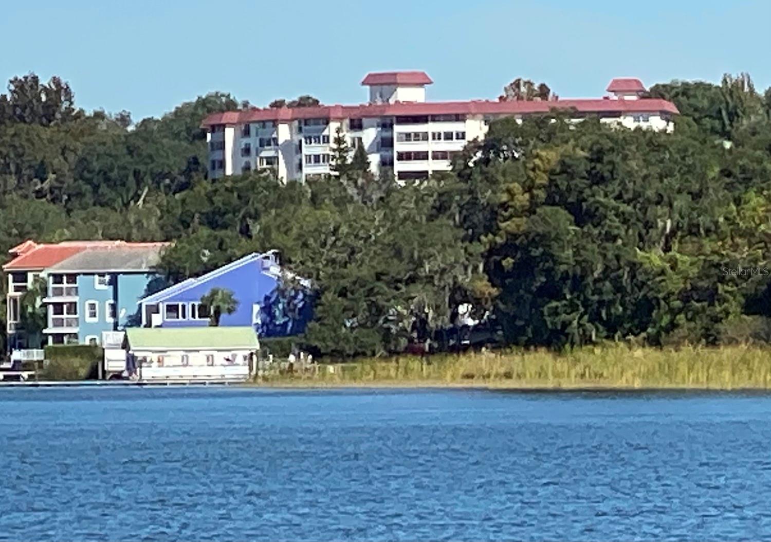 601 N MCDONALD ST #208, MOUNT DORA, FL, 32757