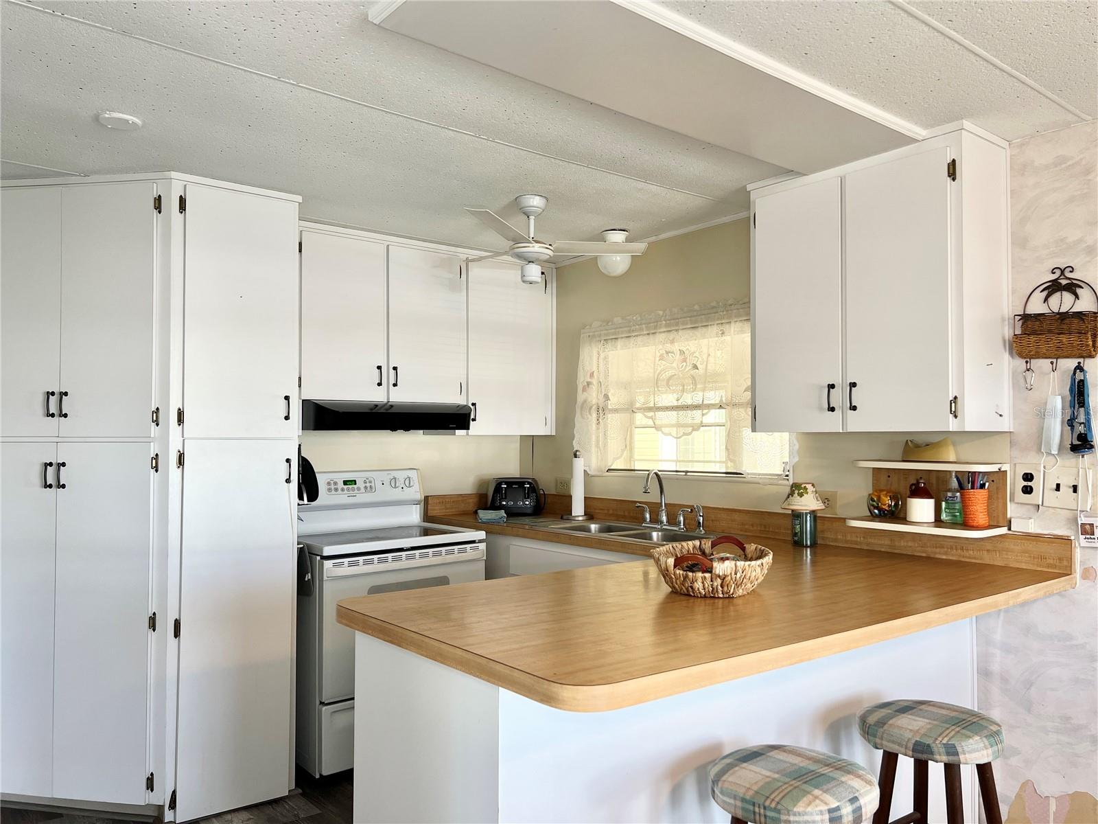 3331 DAWNS DELL, ZEPHYRHILLS, FL, 33541