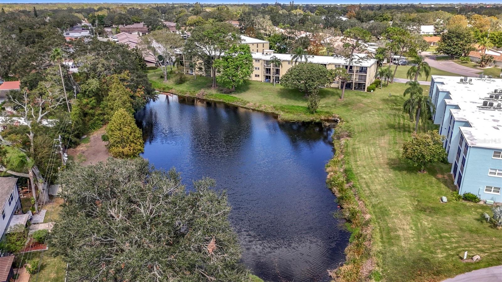 1450 HEATHER RIDGE BLVD #306, DUNEDIN, FL, 34698