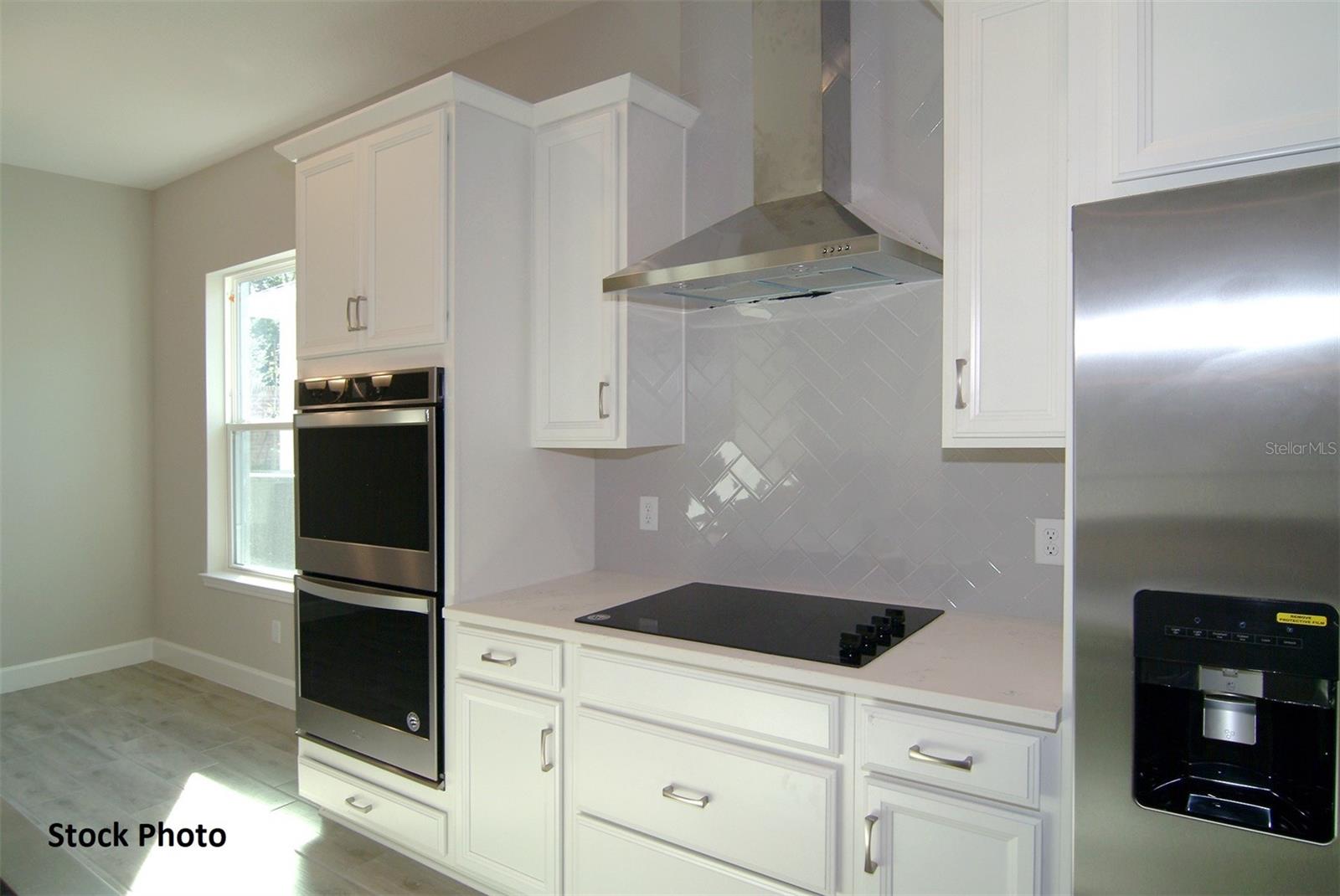 17434 CRISP APPLE LN, LAND O LAKES, FL, 34638