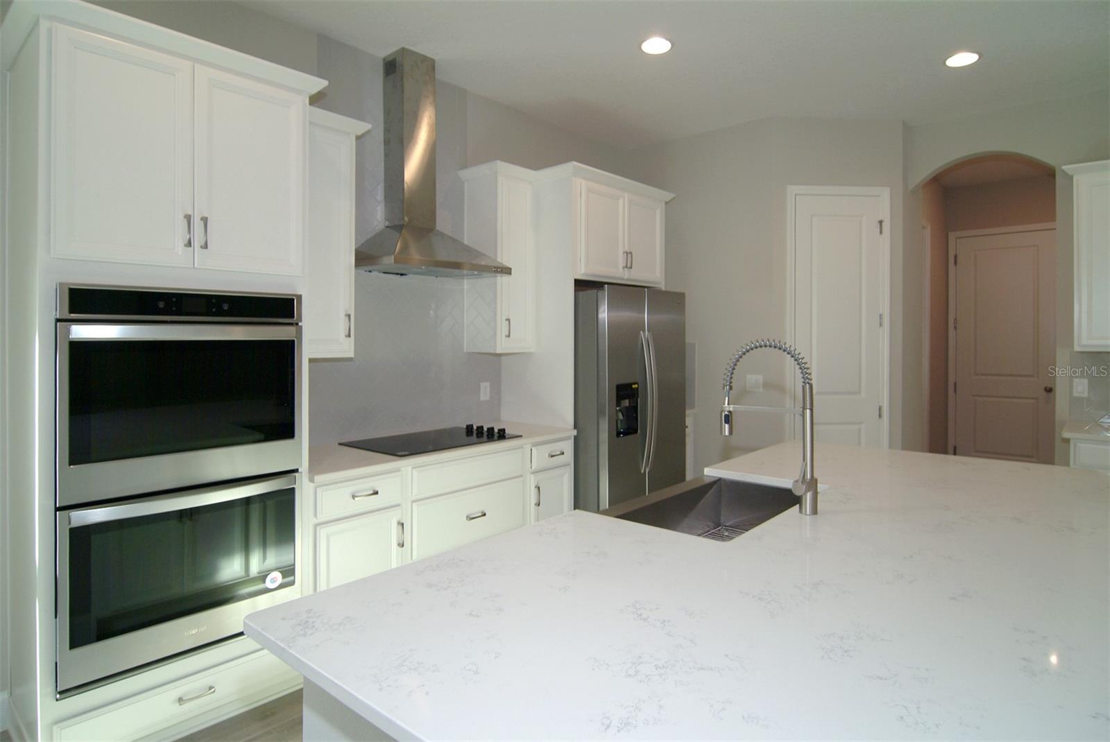17434 CRISP APPLE LN, LAND O LAKES, FL, 34638
