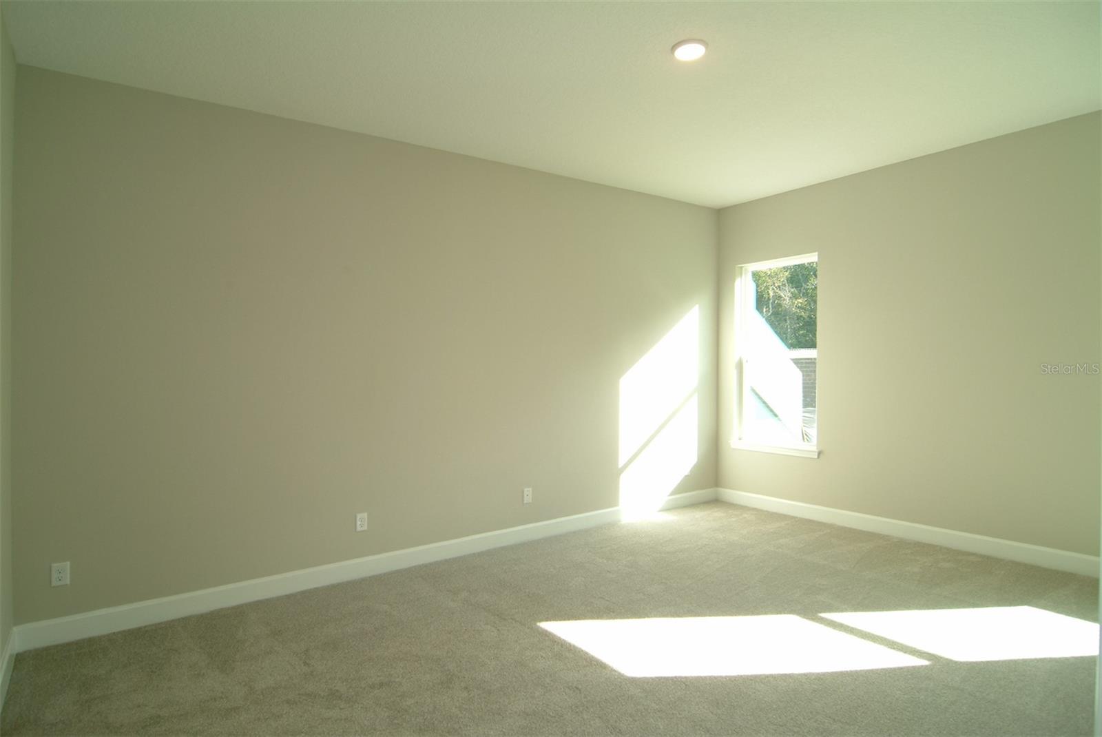 17434 CRISP APPLE LN, LAND O LAKES, FL, 34638
