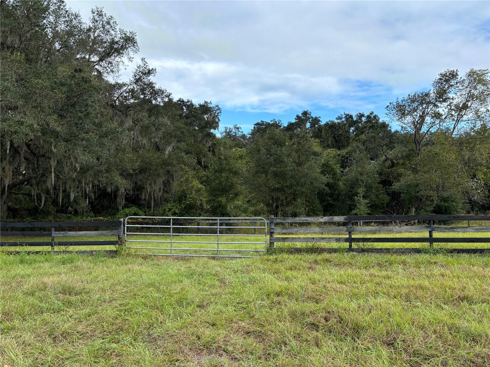 8506 SW 135TH LN, ARCHER, FL, 32618
