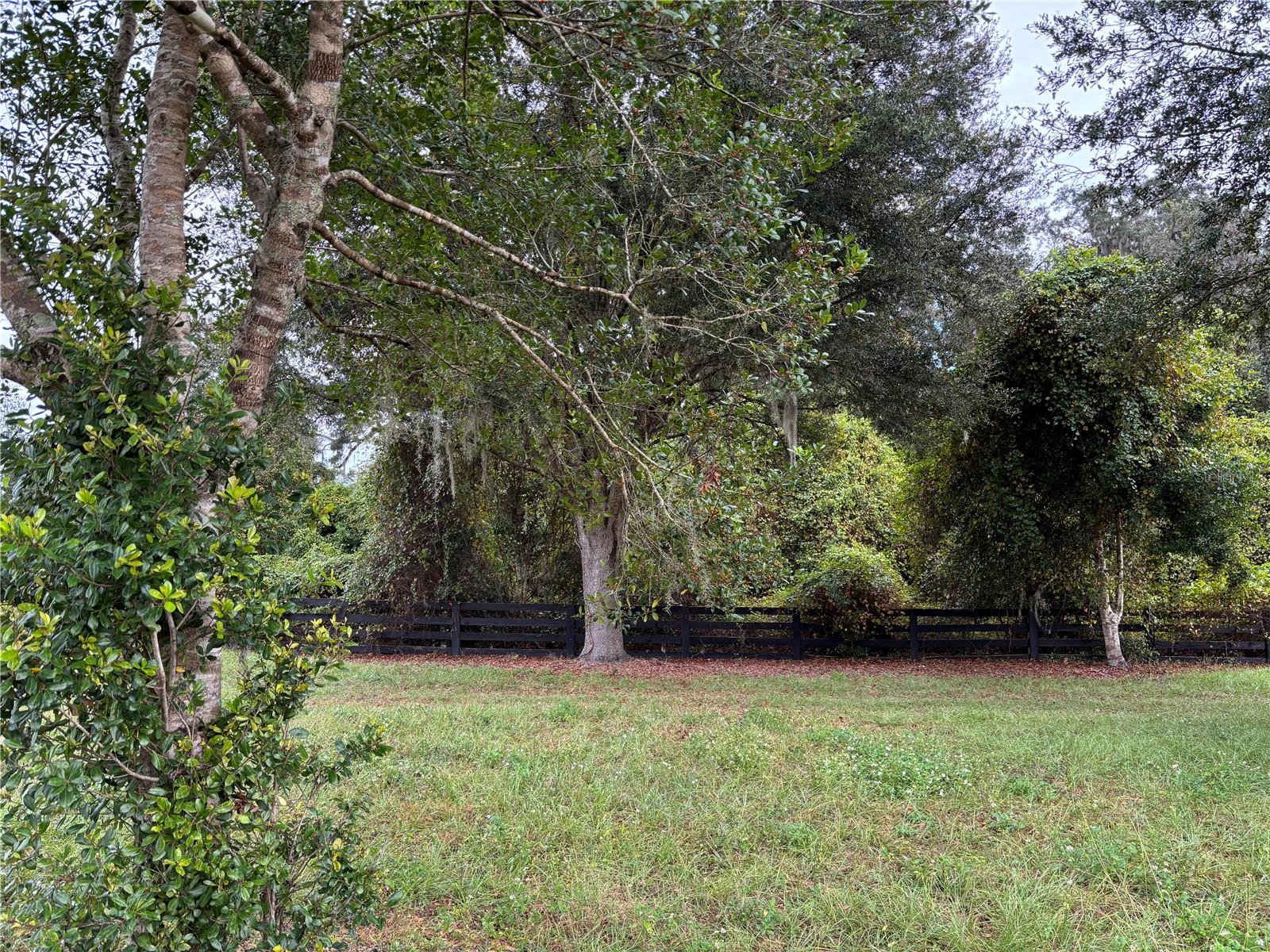 8506 SW 135TH LN, ARCHER, FL, 32618
