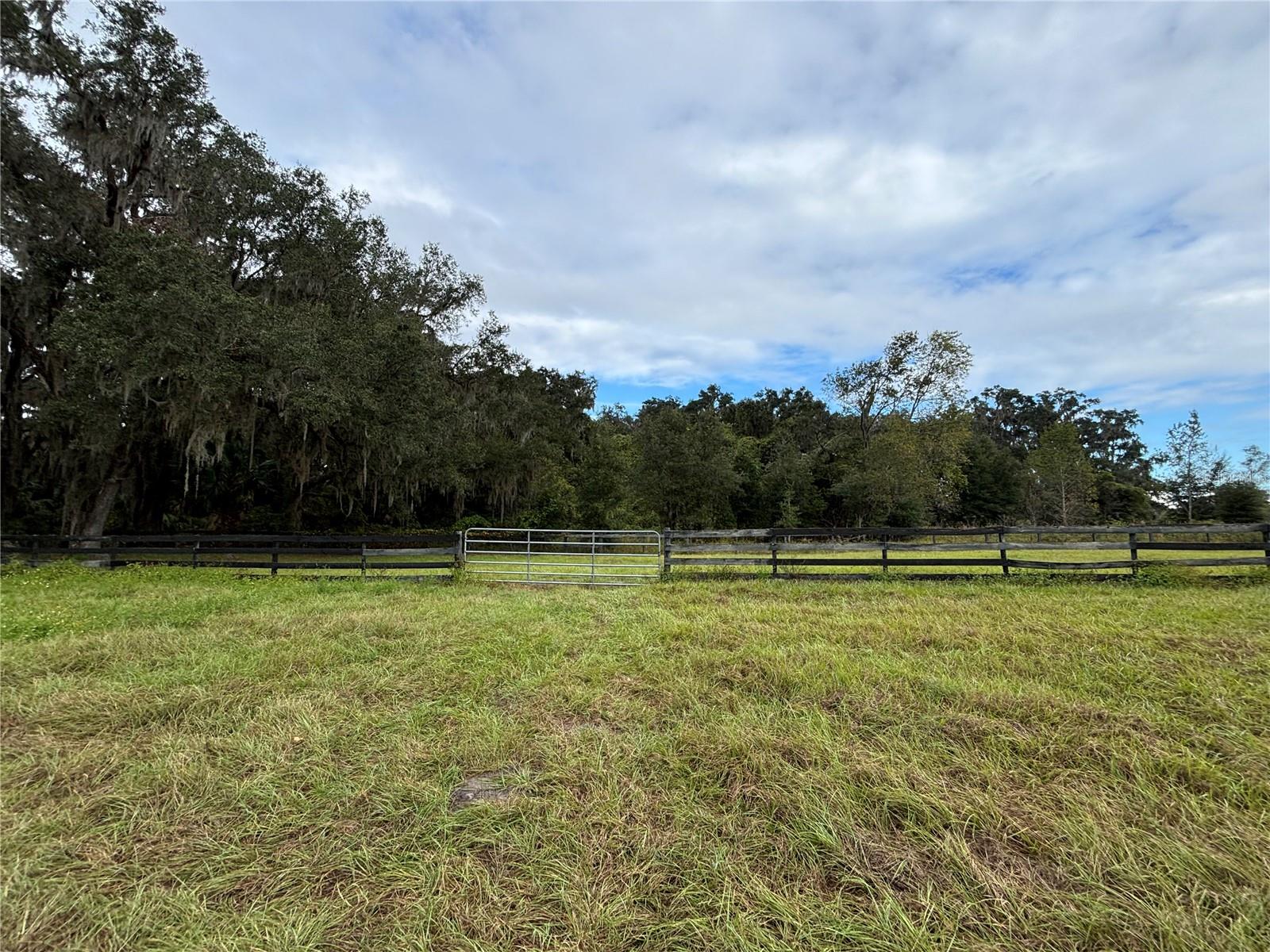 8506 SW 135TH LN, ARCHER, FL, 32618
