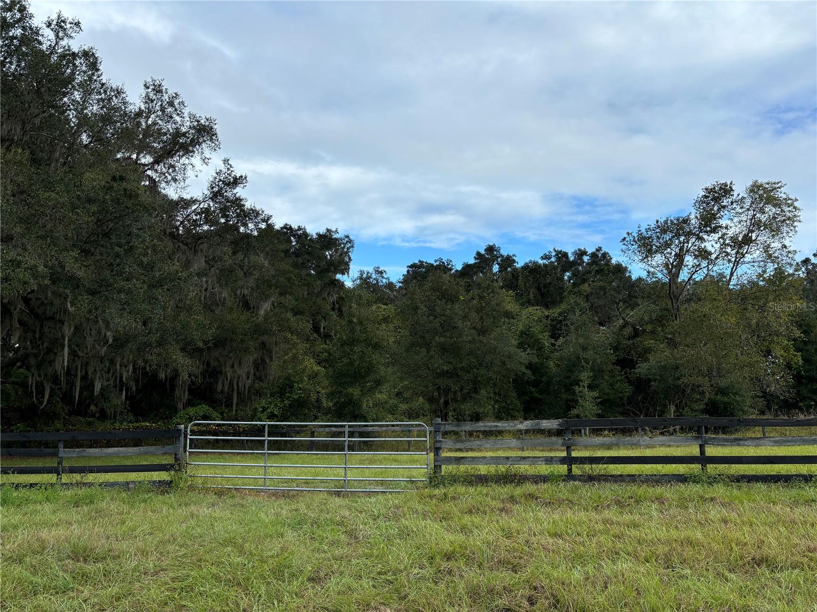 8506 SW 135TH LN, ARCHER, FL, 32618