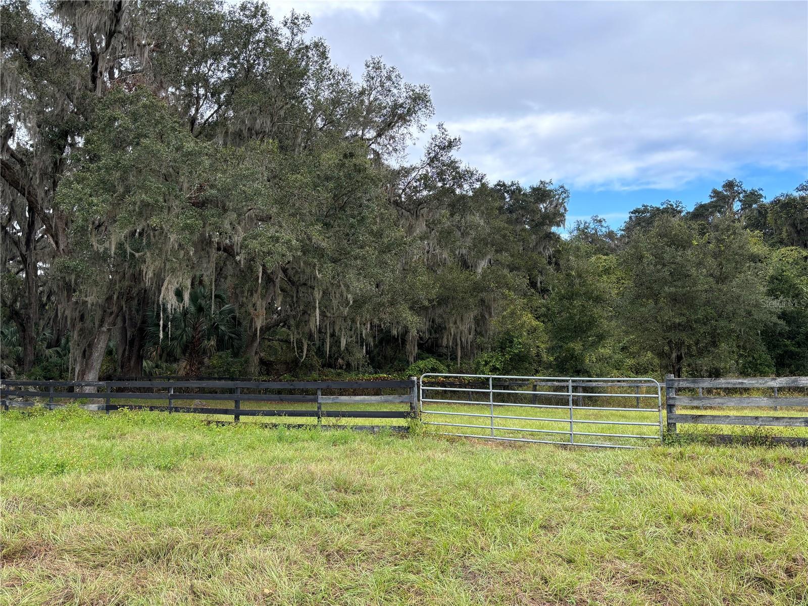 8506 SW 135TH LN, ARCHER, FL, 32618