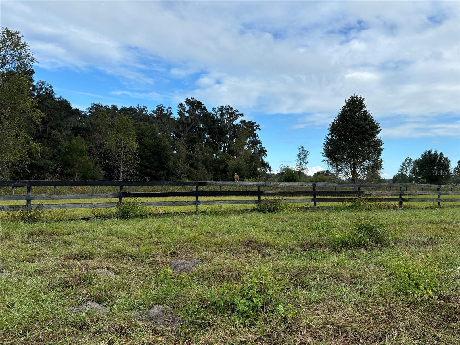 8506 SW 135TH LN, ARCHER, FL, 32618