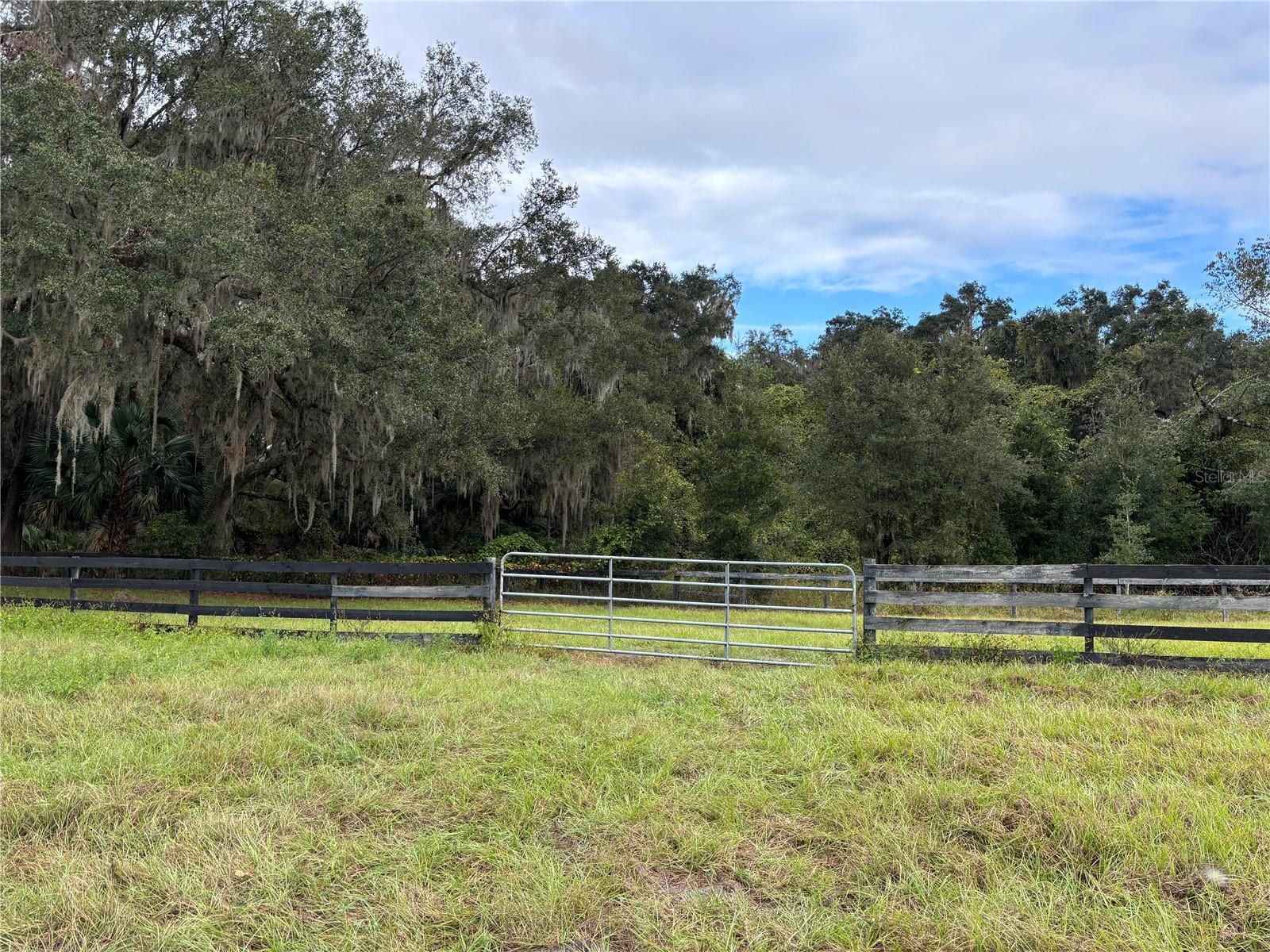 8506 SW 135TH LN, ARCHER, FL, 32618