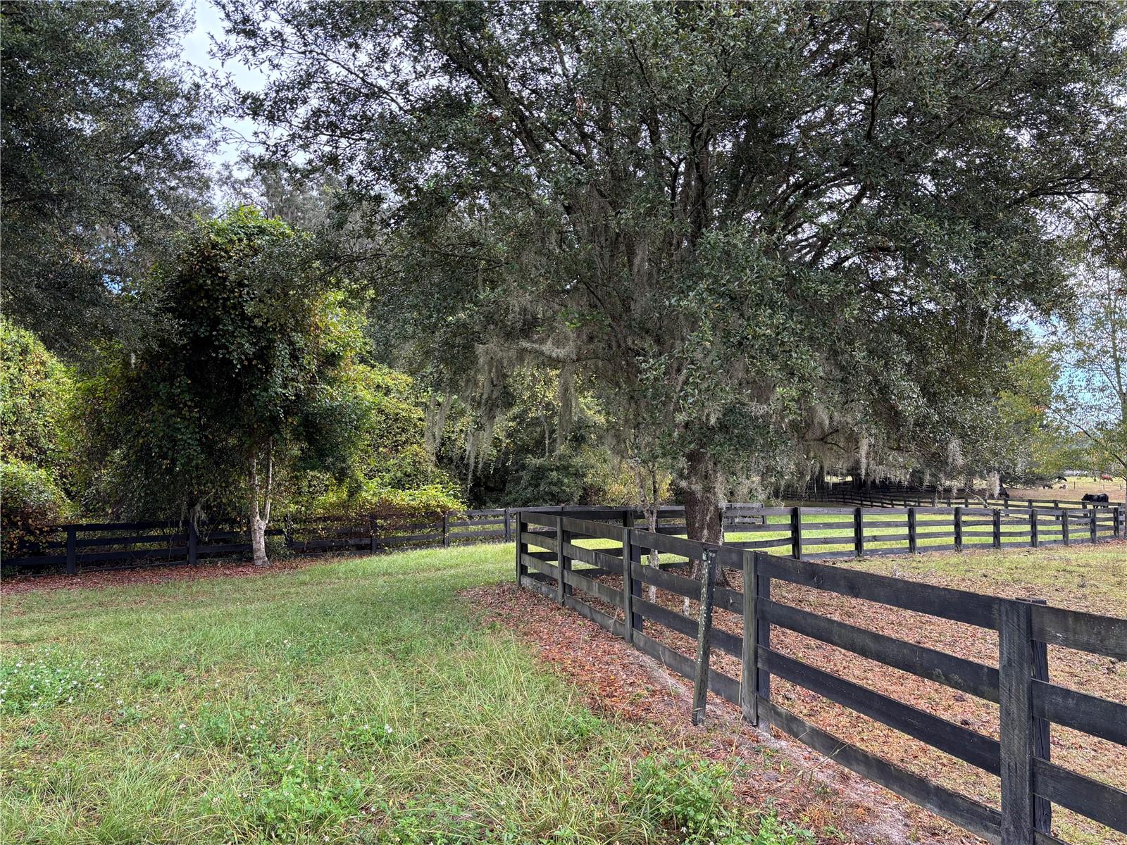 8506 SW 135TH LN, ARCHER, FL, 32618