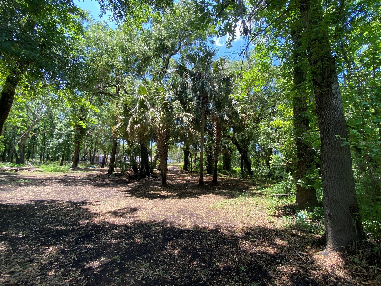 3139 RIVERDALE RD, ORLANDO, FL, 32817
