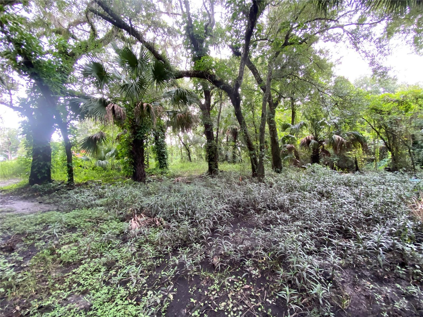 3139 RIVERDALE RD, ORLANDO, FL, 32817