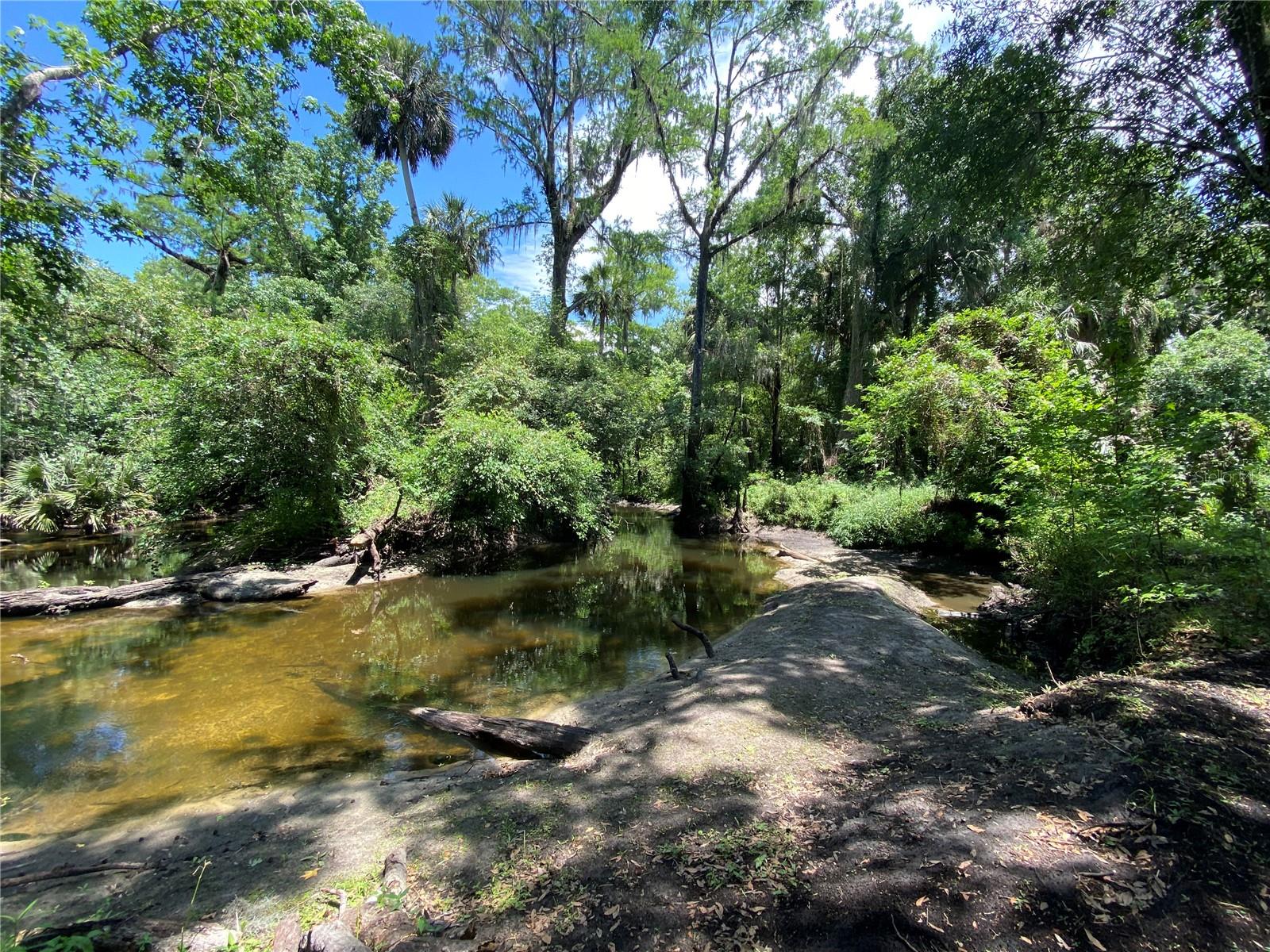 3139 RIVERDALE RD, ORLANDO, FL, 32817