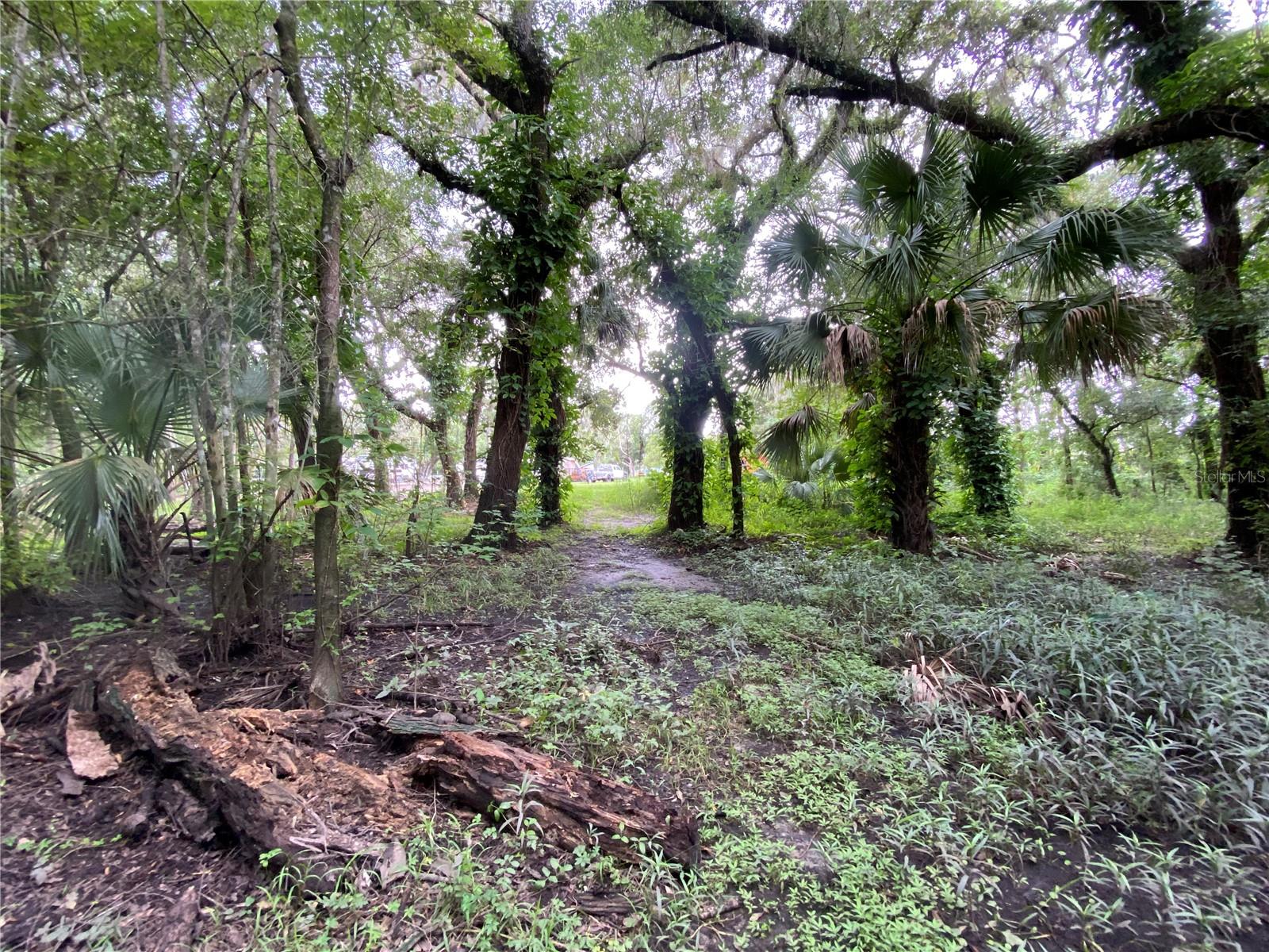 3139 RIVERDALE RD, ORLANDO, FL, 32817