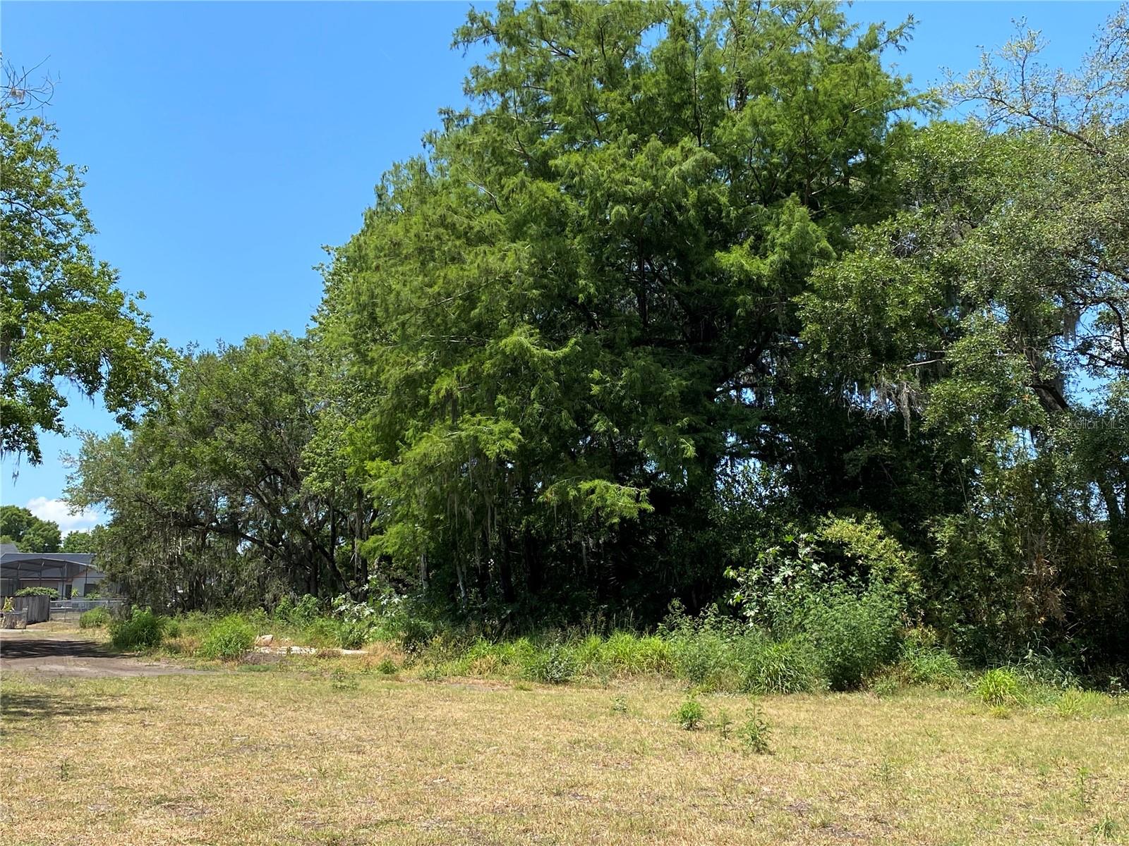 3139 RIVERDALE RD, ORLANDO, FL, 32817