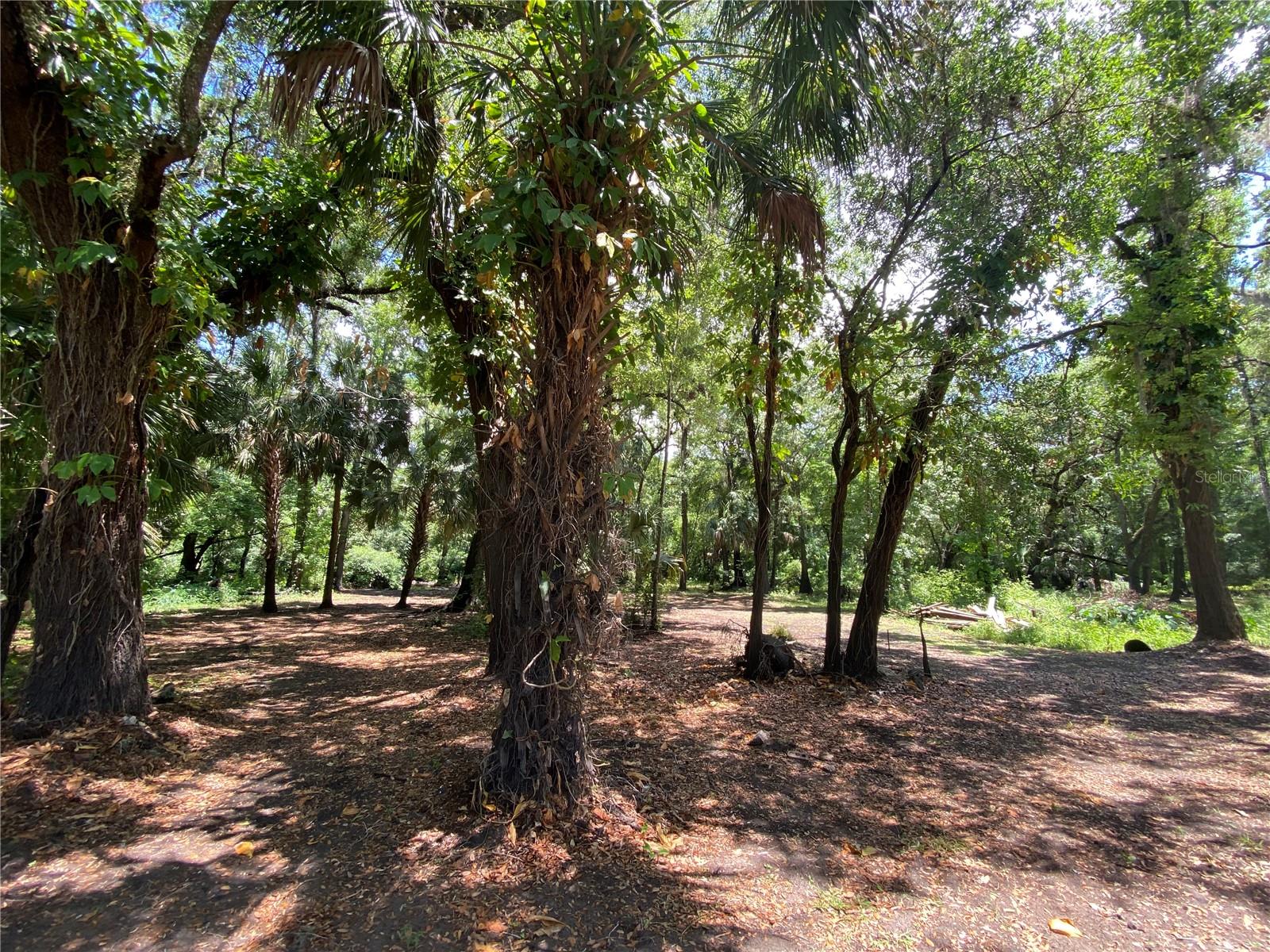 3139 RIVERDALE RD, ORLANDO, FL, 32817