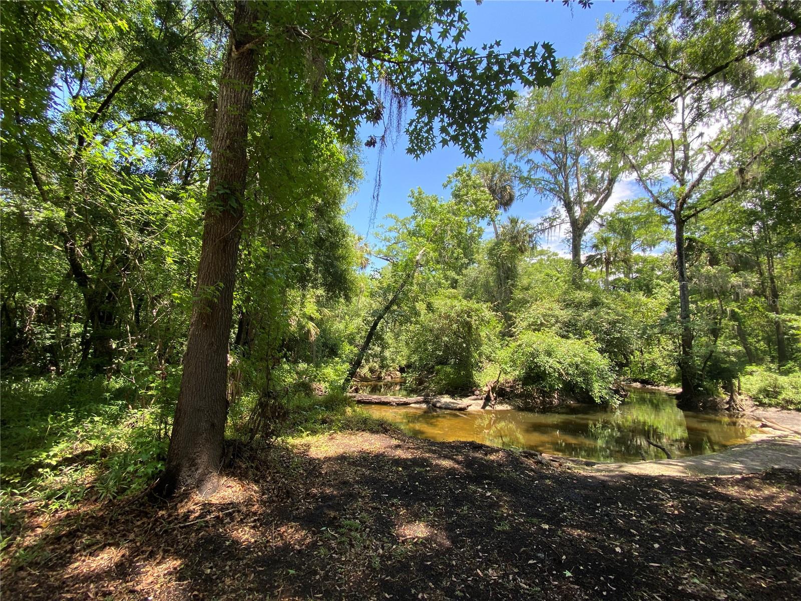 3139 RIVERDALE RD, ORLANDO, FL, 32817